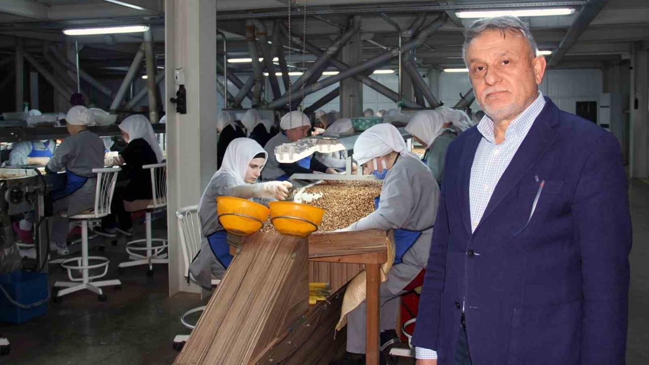 Giresun'da Fındık Fiyatları İhracat ve Döviz Kuru ile Belirleniyor