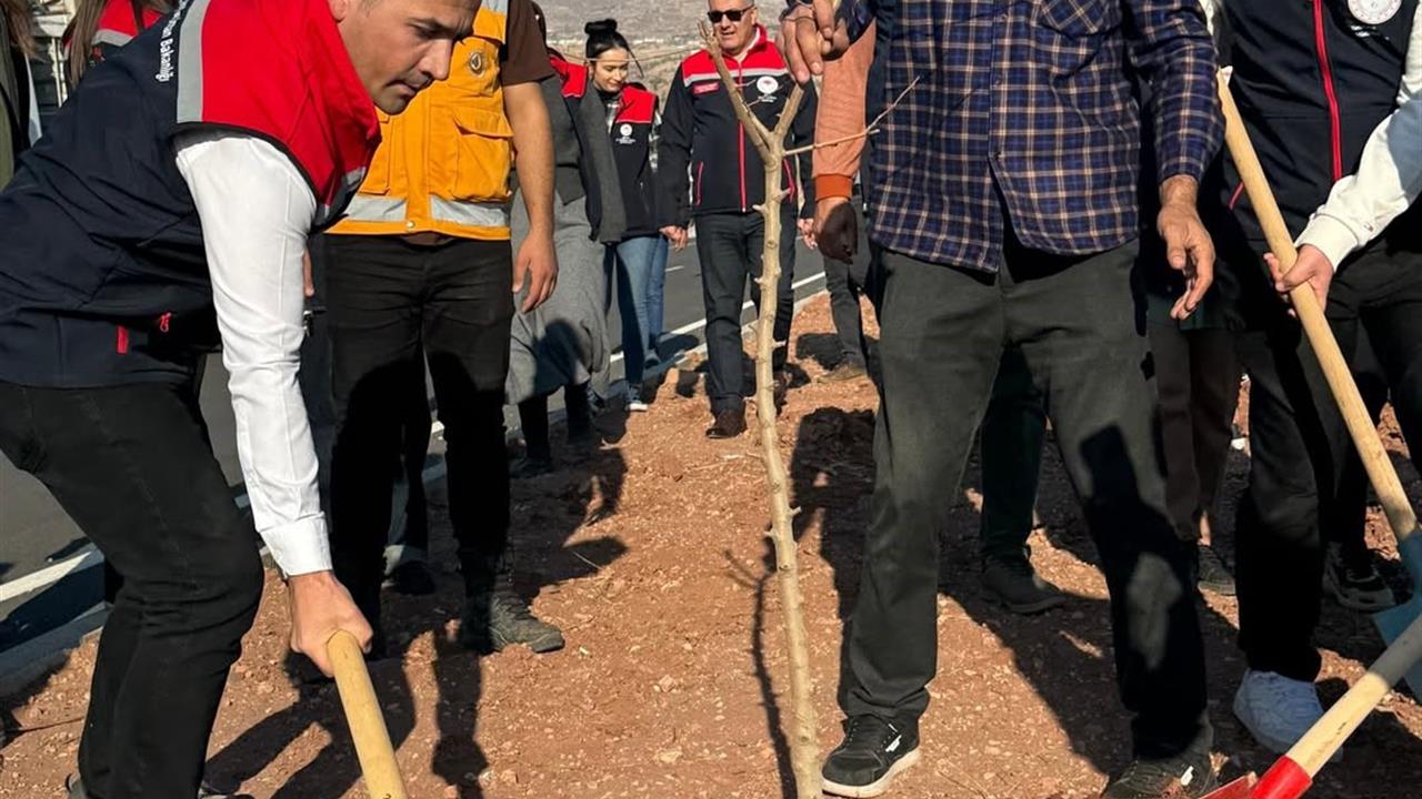 Şırnak Cizre Karayolu'nda 365 Fidan Dikimi Gerçekleştirildi
