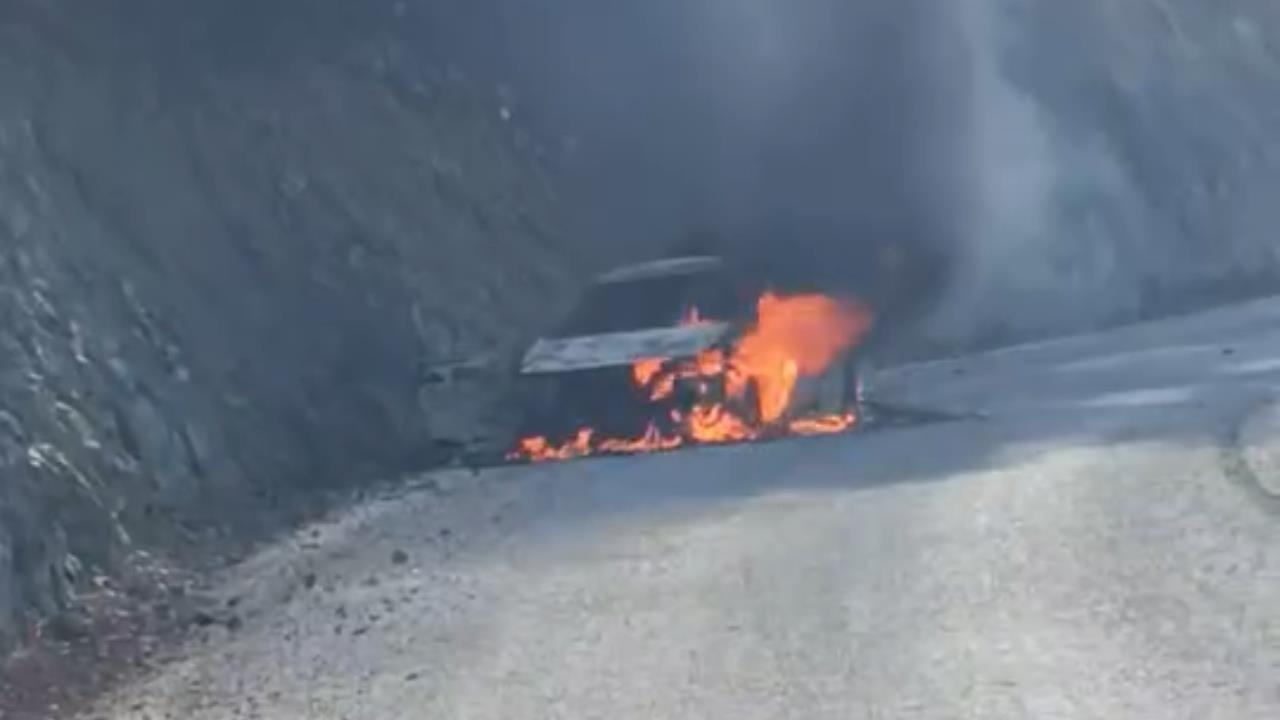 Değirmençay Yolunda Alev Alan Araç Küle Döndü: İtfaiye Ormanı Kurtardı