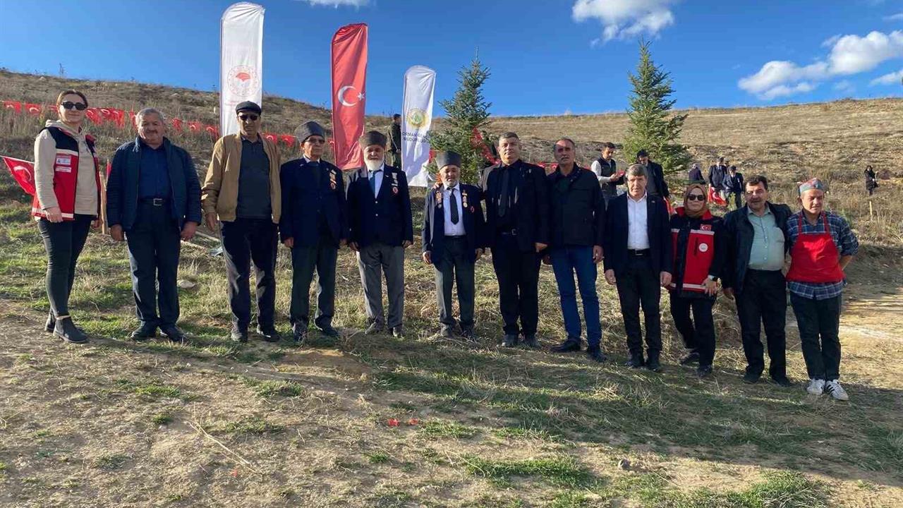 Bilecik Bozüyük’te Şehitler Anısına Fidan Dikimi ve Mevlit Programı Düzenlendi