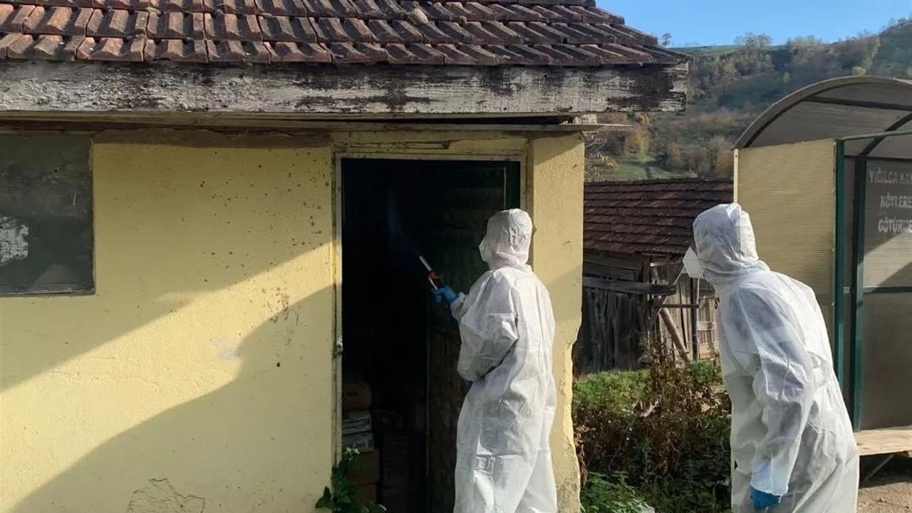 Düzce Yığılca'da Kahverengi Kokarca İle Mücadele Devam Ediyor