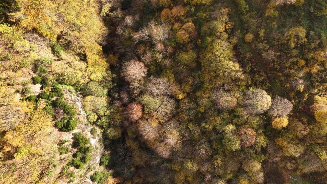 Kocaeli Başiskele'de Sonbahar Renkleri İle Doğa Turu Fırsatı