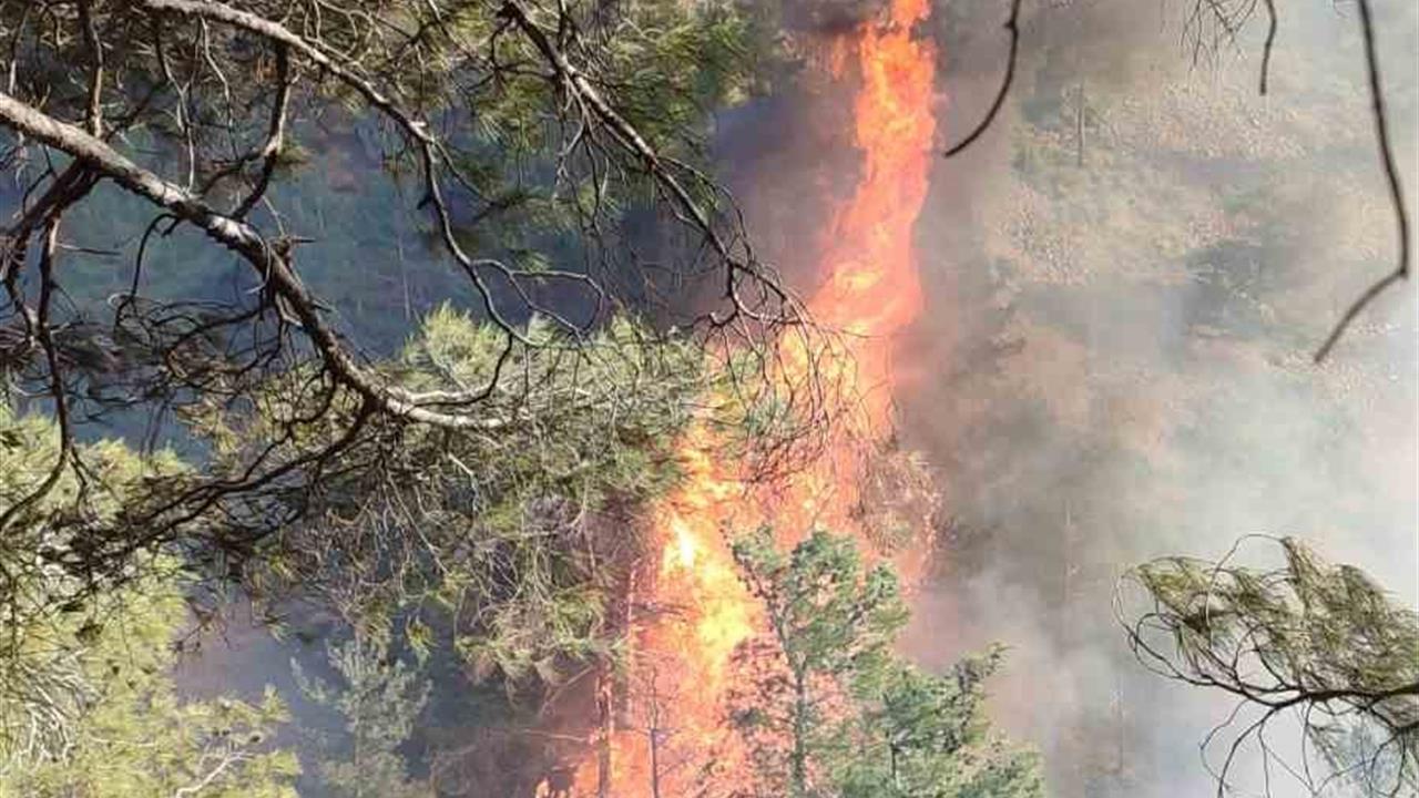 Hatay Belen'de Orman Yangınına İtfaiye ve Orman Ekipleri Müdahale Ediyor