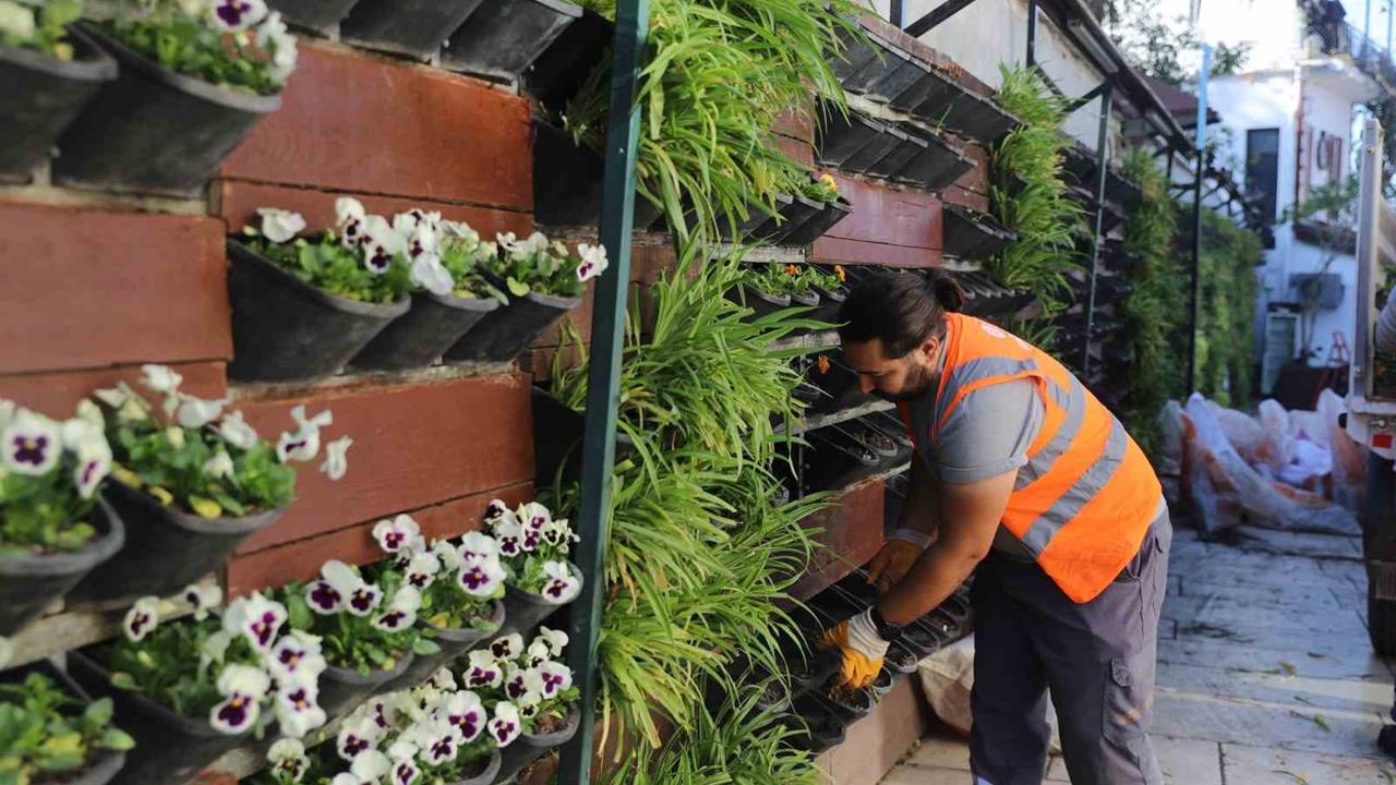Antalya'da 4 Milyon Çiçek Dikimi İle Şehir Renkleniyor