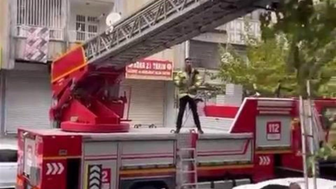 Diyarbakır Bağlar'da Ağaçta Mahsur Kalan Kedi İtfaiye Ekipleri Tarafından Kurtarıldı