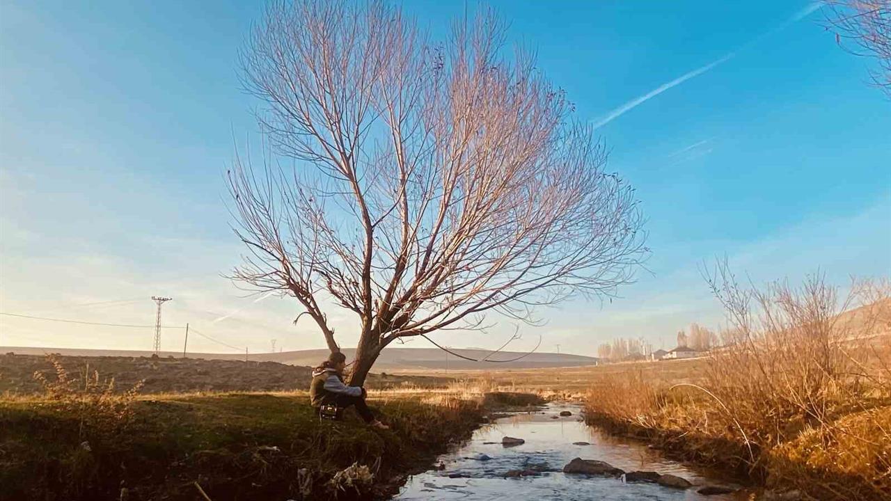 Ağrı Patnos'ta Sonbaharla Birlikte Sararan Yapraklar Görsel Şölen Sunuyor