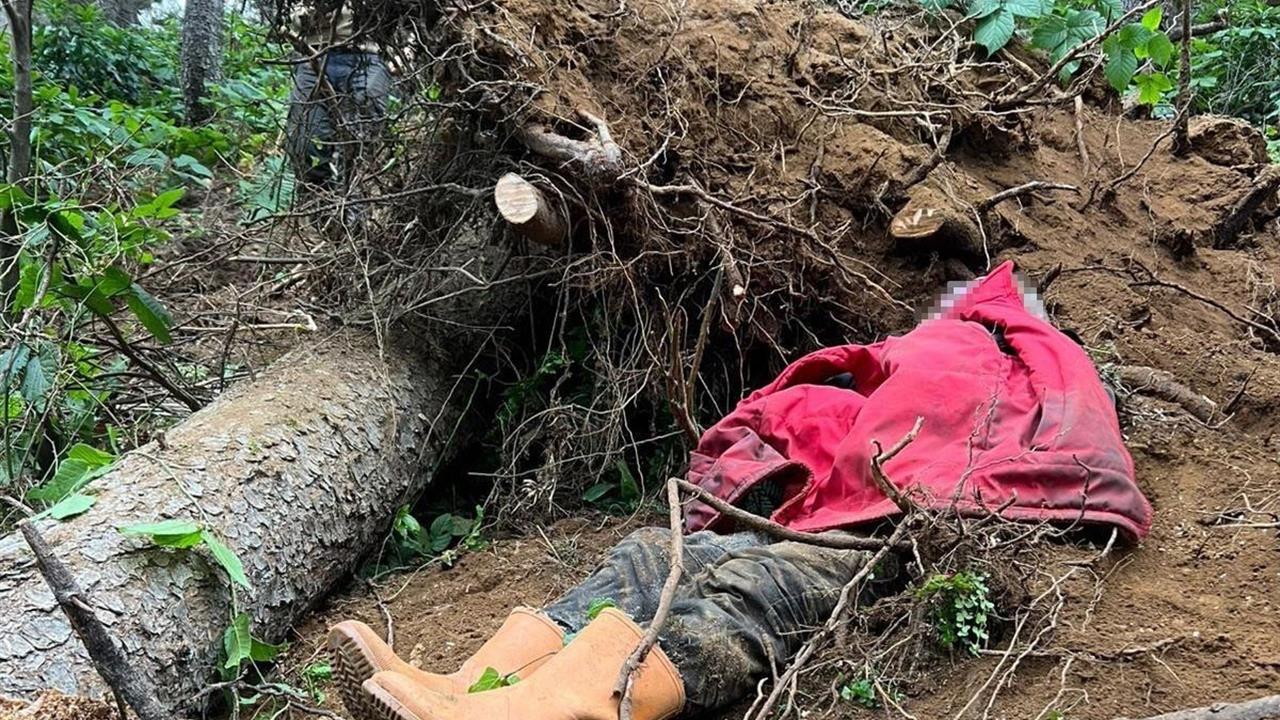 Trabzon Vakfıkebir'de Ağaç Kesimi Sırasında Bir Kişi Hayatını Kaybetti
