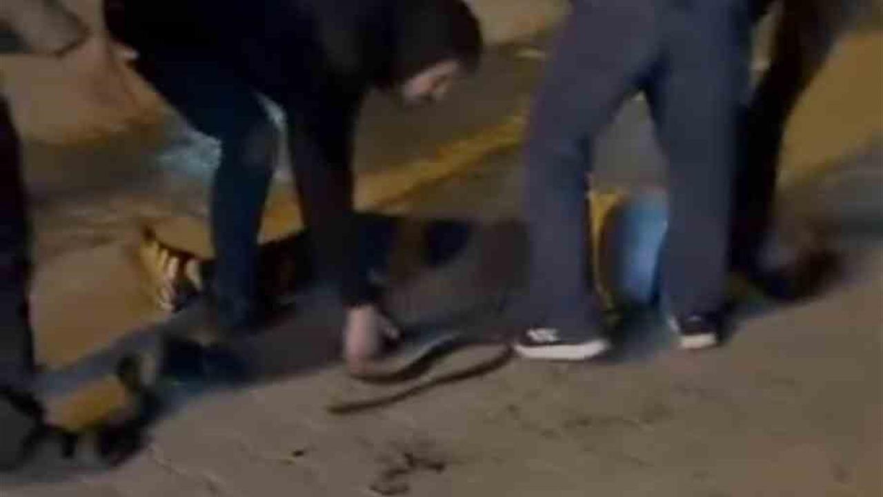 Şanlıurfa Haliliye'de İki Grup Arasında Bıçaklı Kavga: 3 Yaralı