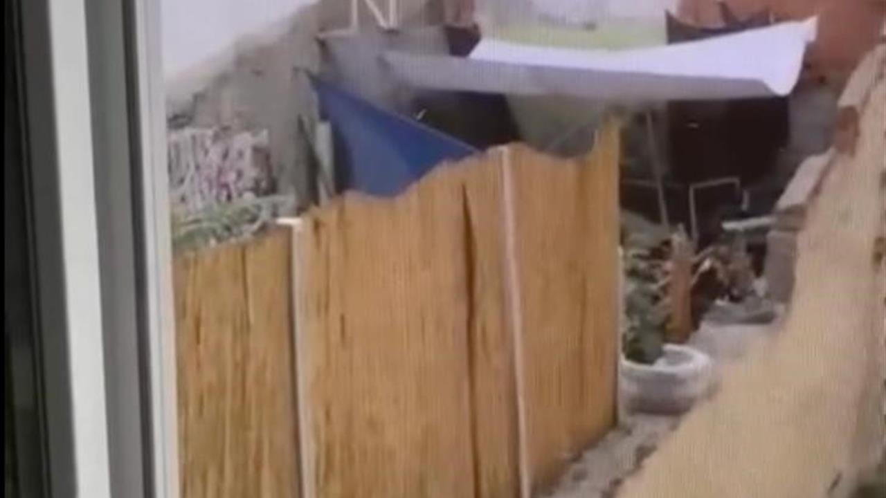 Eskişehir Odunpazarı'nda Köpeğe Eziyet Eden Şahıs Gözaltına Alındı