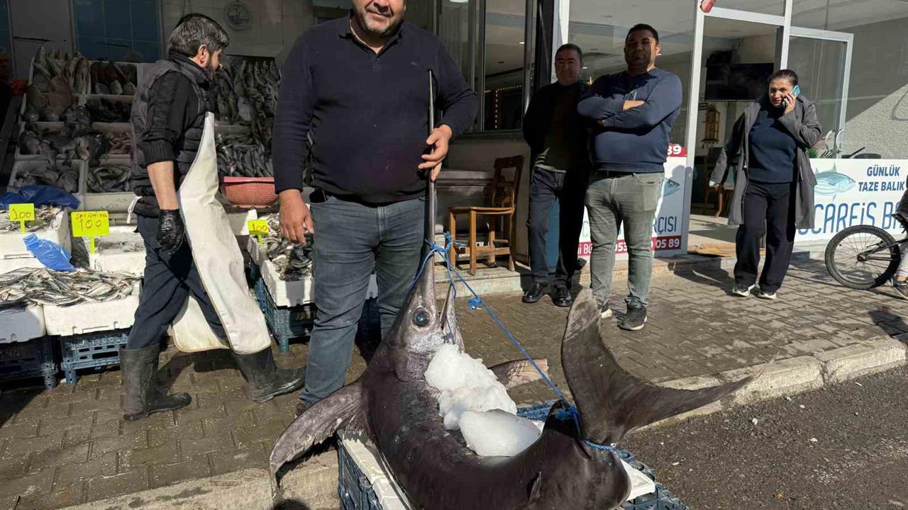 Hatay Dörtyol'da 138 Kilogram Ağırlığında Kılıç Balığı Vatandaşların İlgi Odağı Oldu
