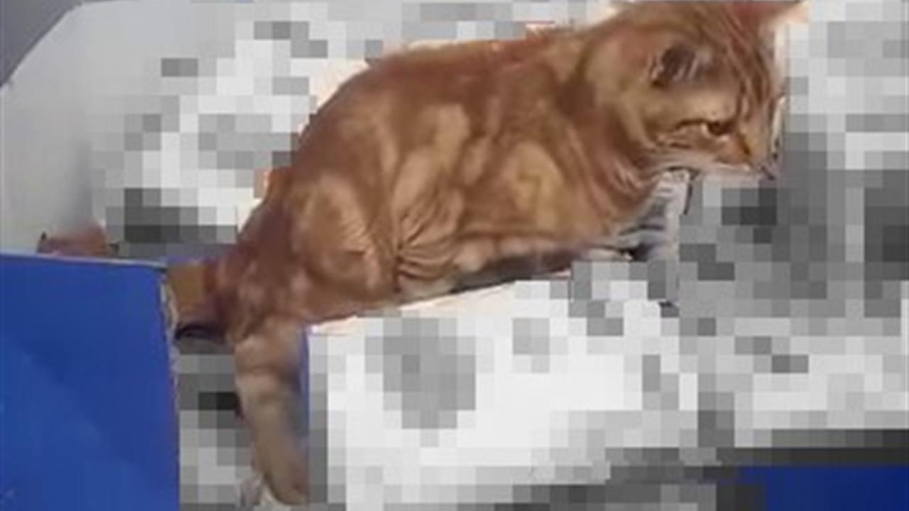 İstanbul Sultangazi'deki Zincir Markette Mide Bulandıran Olay