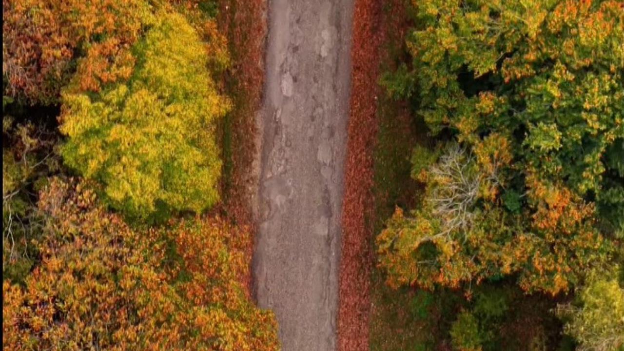 Sinop Merkez ve İlçelerinde Güz Sonbahar Güzellikleri Dikkat Çekiyor
