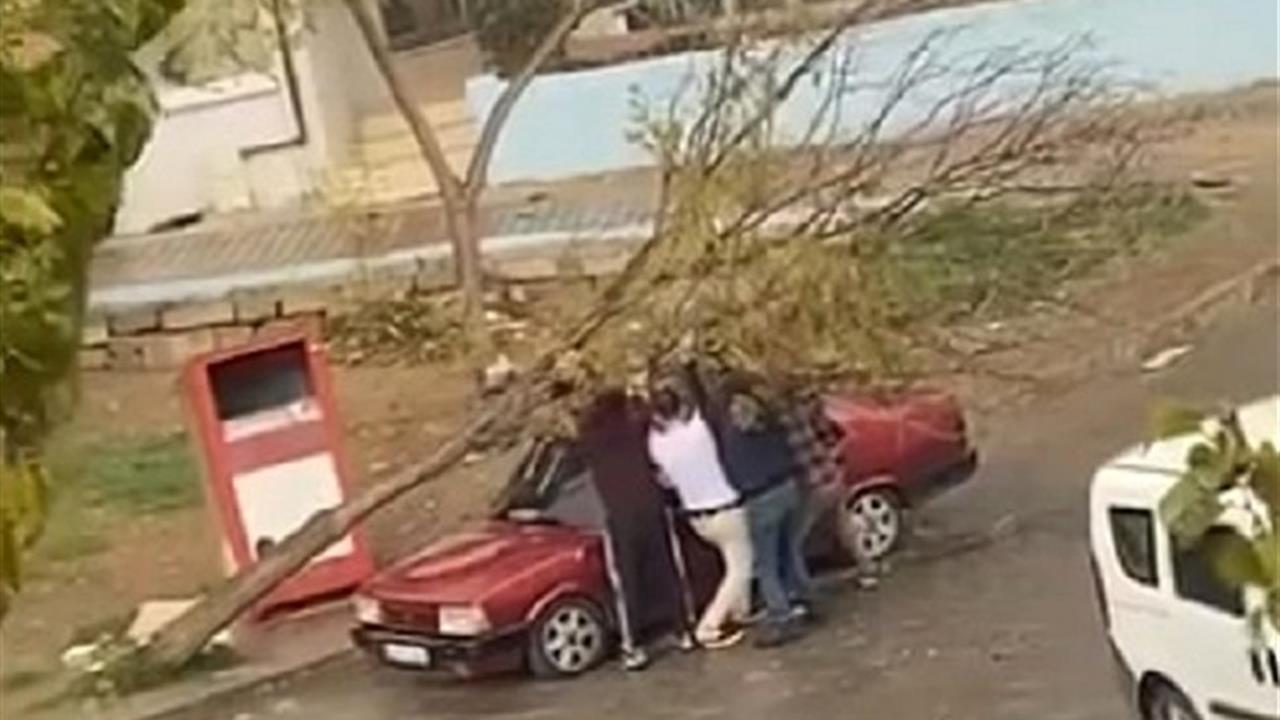 İzmir Karabağlar'da Park Halindeki Otomobilin Üzerine Devrilen Ağaç Hasara Yol Açtı