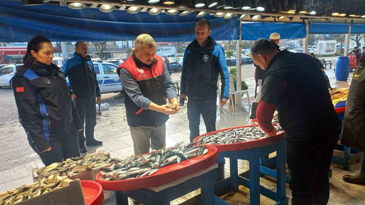 Balıkesir Bandırma'da Balık Hali'nde Gerçek Türü "Kolyoz" Olan Balıklar Tespit Edildi