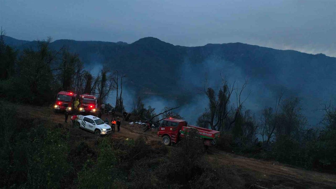 Artvin Hopa'da Orman Yangını Söndürüldü, Soğutma Çalışmaları Devam Ediyor