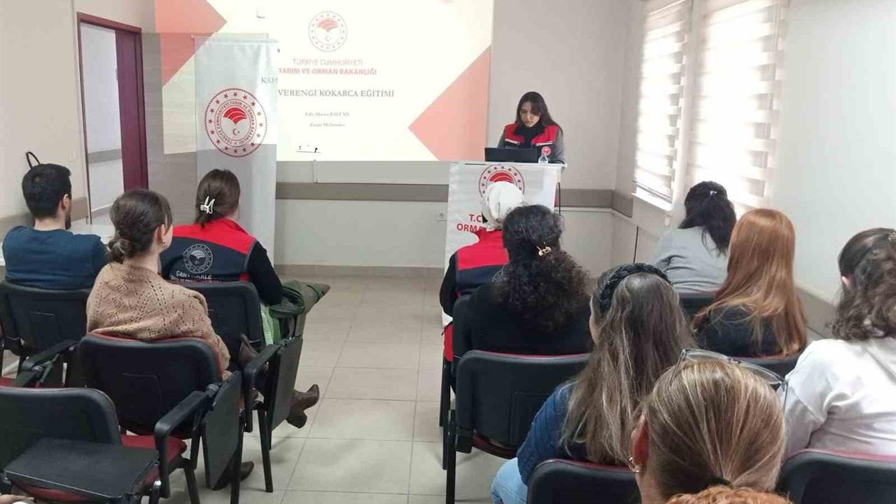 Çanakkale Gelibolu'da Kahverengi Kokarca Zararlısına Yönelik Eğitimler Sürüyor