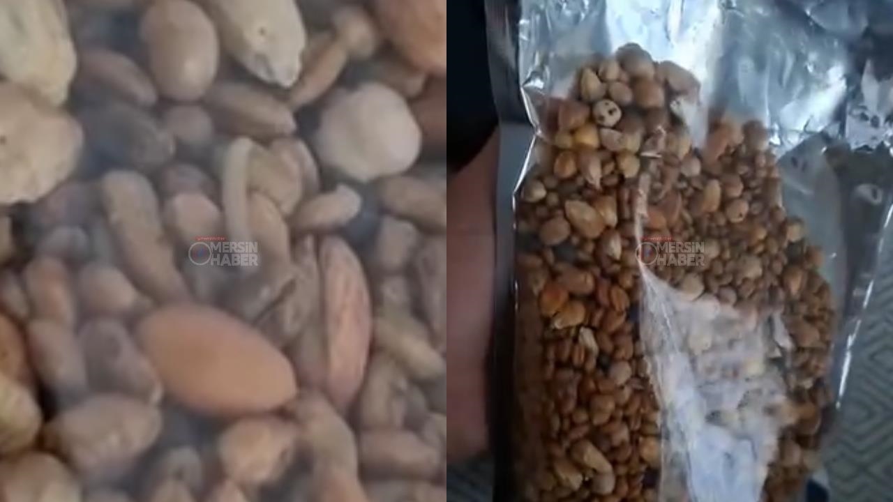 Mersin’de Hamile Kadının Yaşadığı Gıda Skandalı: İçinden Canlı Kurt Çıktı