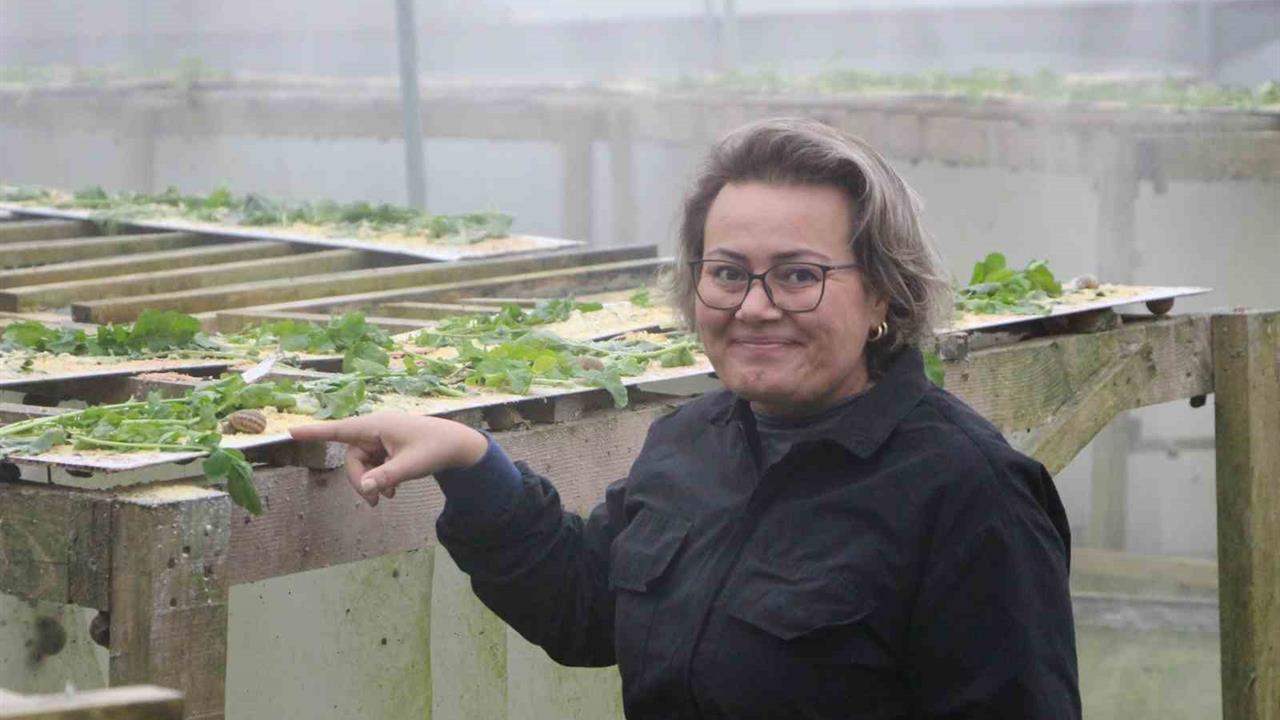 Trabzon'da Havyar Üretimiyle 3 Bin Euro Değerinde Ürünler Elde Ediliyor