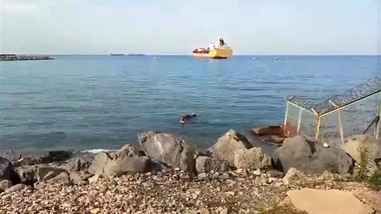 Hatay İskenderun'da Gemiden Düşen Angus Yüzerek Karaya Ulaştı