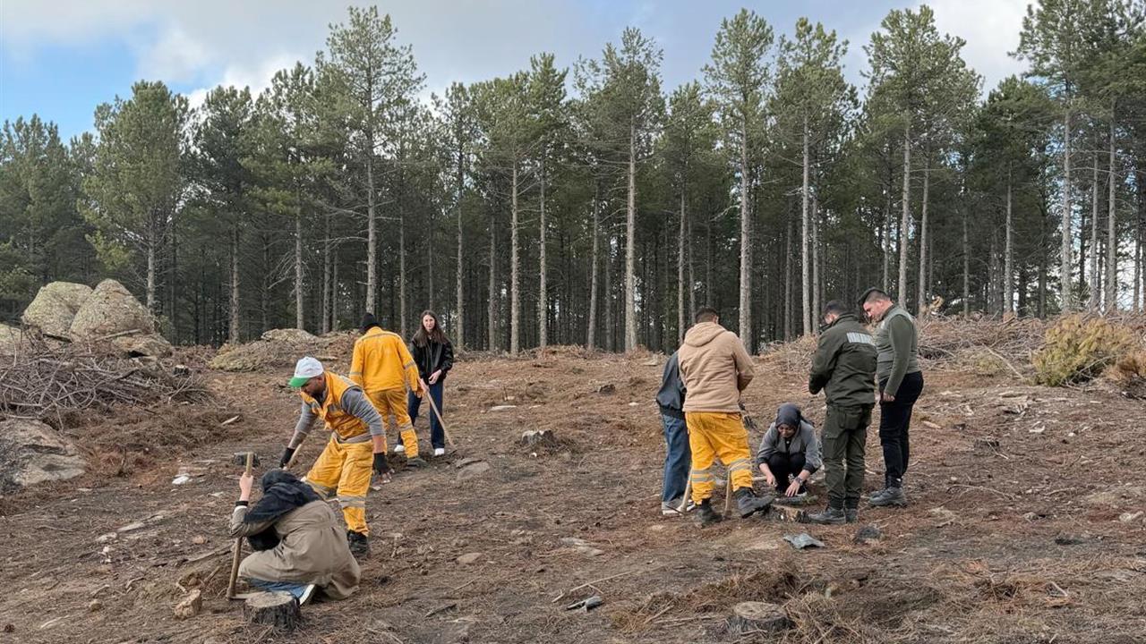 Kırşehir Ahi Evran Üniversitesi Öğrencileri Çine'de Fidan Dikimi Gerçekleştirdi