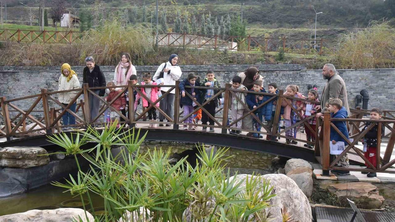 Düzce'deki 23 Nisan İlkokulu Öğrencileri Doğa Gezisinde