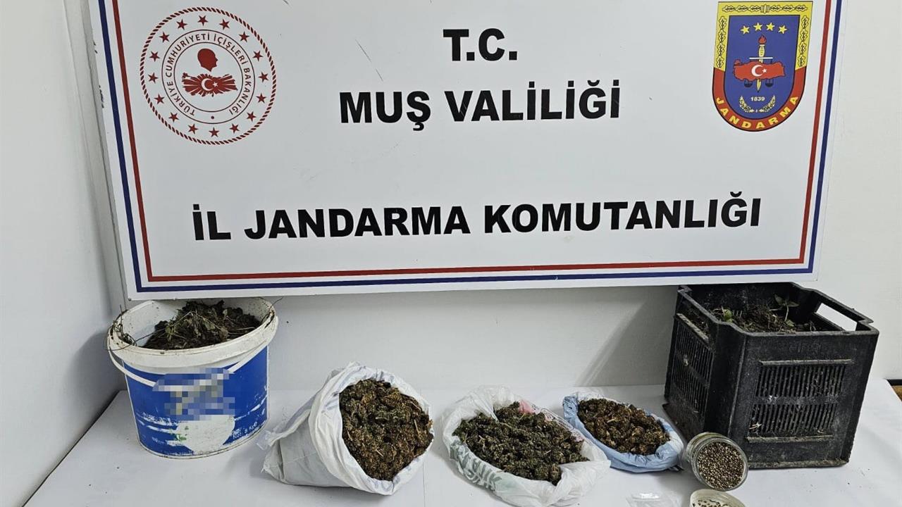 Muş Merkez'de Yapılan Operasyonda Uyuşturucu Madde Ele Geçirildi