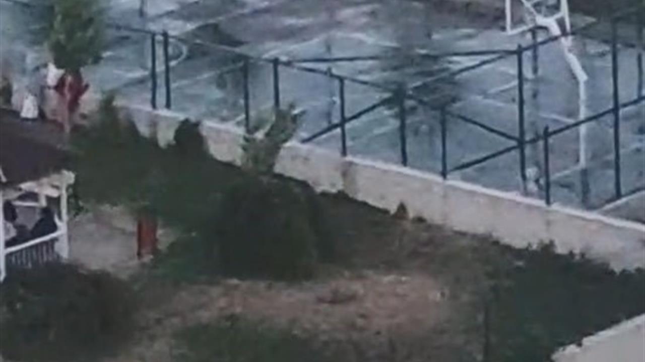 Ankara Etimesgut'ta Pitbull'un Tasmasız Gezdirilmesi Sonrası İki Kardeşe Saldırdı