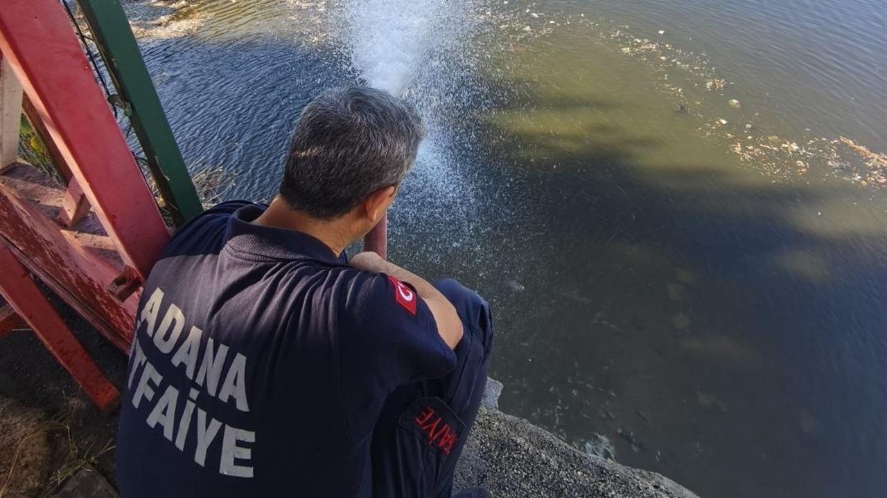 Adana Seyhan Nehri'nde Kuraklık Nedeniyle Balıklar Telef Oluyor