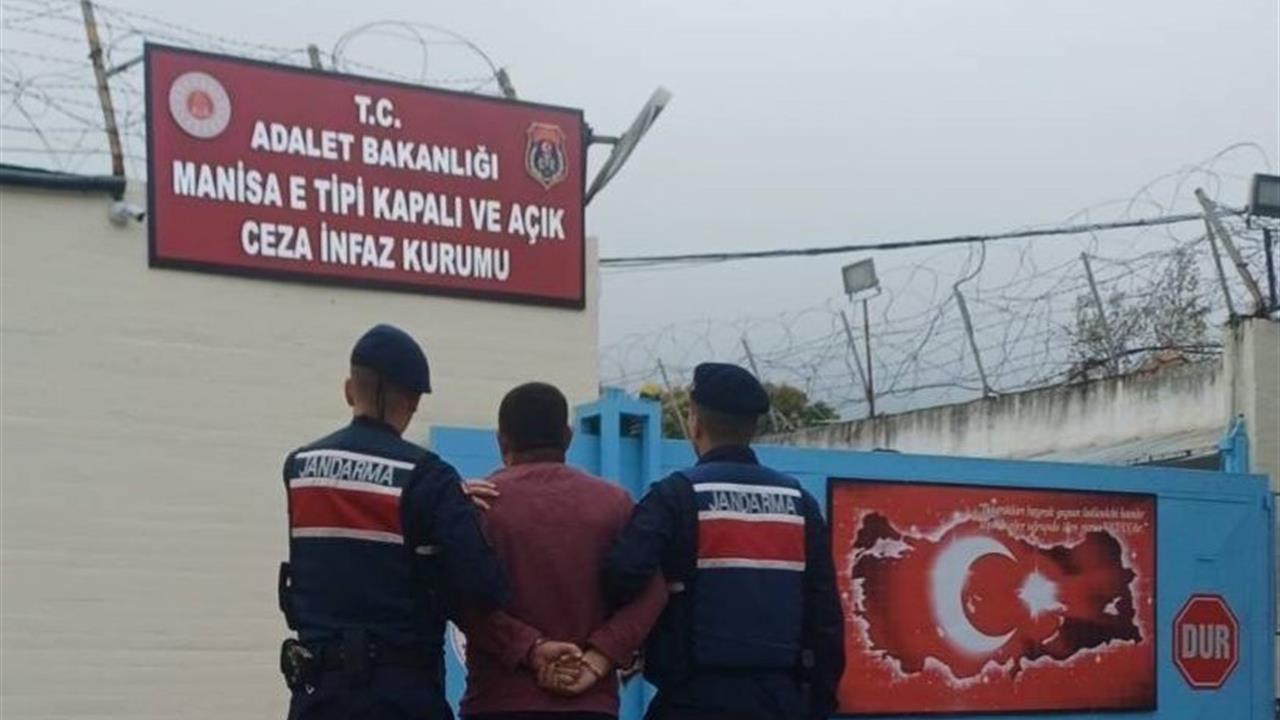 Manisa Saruhanlı'da Jandarma Ekipleri, Firari Hükümlü Y.A.'yı Bağ Evinde Gözaltına Aldı.