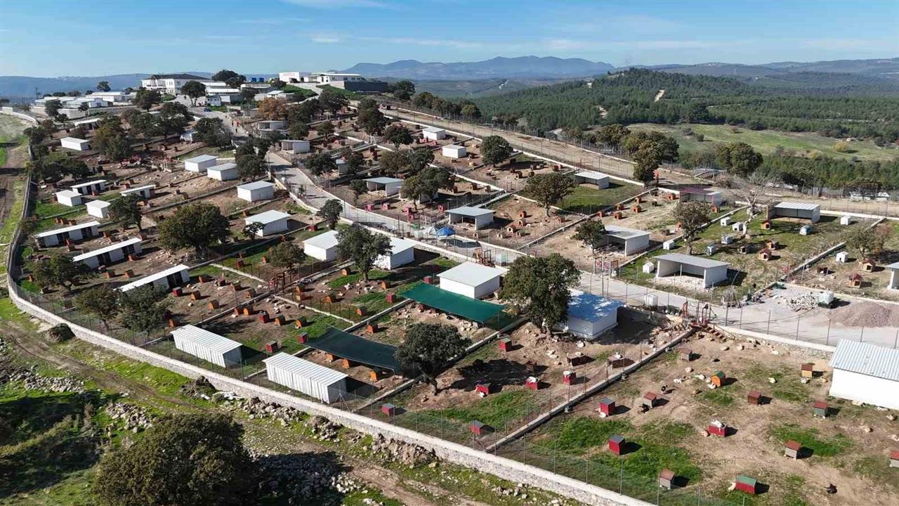 Manisa Yunusemre'de Sokak Hayvanlarına Destek Sağlayan Yaşam Merkezi Açıldı