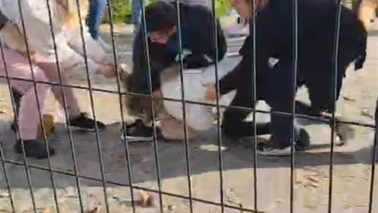 Kartal'da İki Aile Arasında Çıkan Kavgada Kadın Yerlerde Sürüklenerek Yaralandı