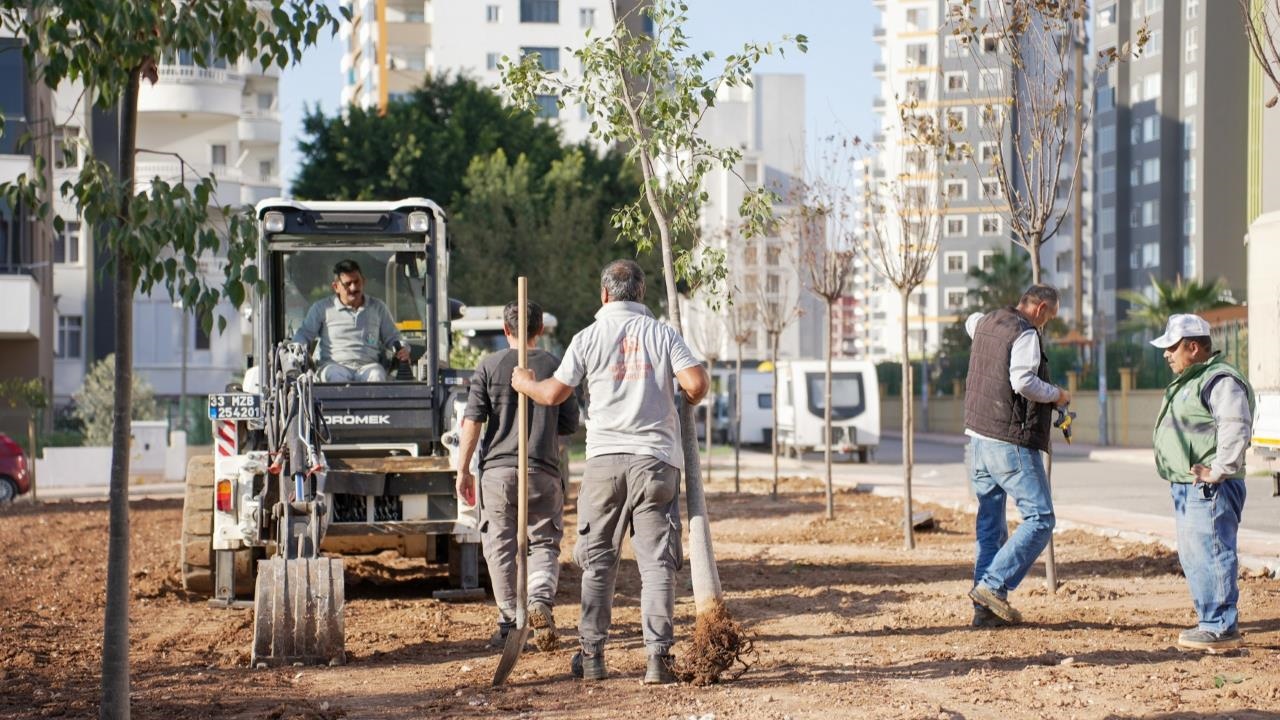 Mezitli Yeşile Doymuyor! Başkan Tuncer: "bugün Diktiğimiz Her Fidan, Yarının Teminatıdır"