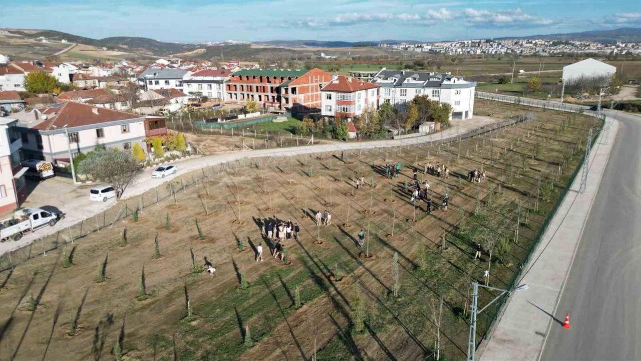 İnegöl Akhisar'da 572 Fidanla Yeni Koruluk Projesi Tamamlandı