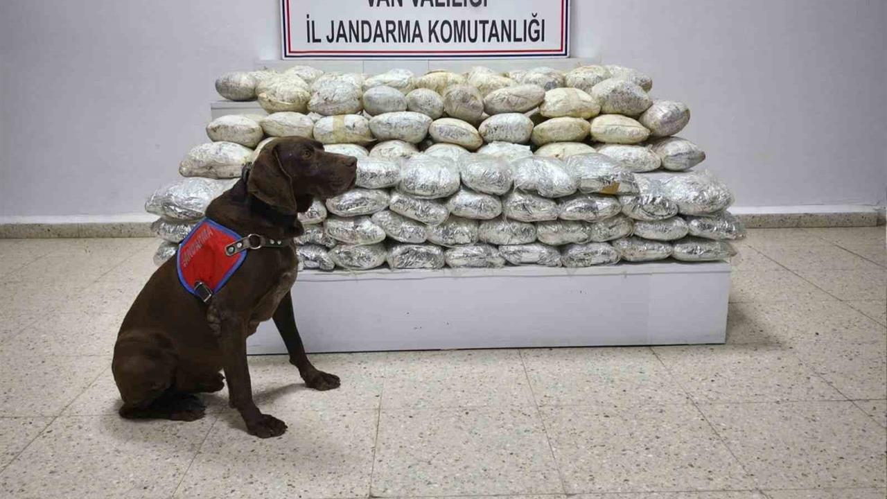 Van Başkale'de Jandarma Ekipleri Tarafından 60 Kilogram Uyuşturucu Madde Bulundu