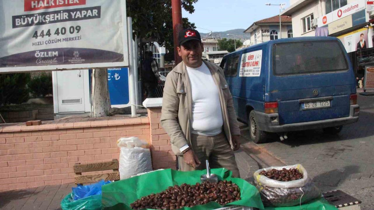 Aydın Bozdoğan'da Kestane Hasadı ve Satışı Yapılıyor
