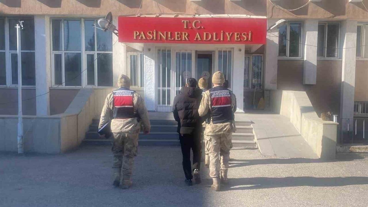 Erzurum Köprüköy'de Büyükbaş Hayvan Hırsızlığı Yapan İki Kişi Tutuklandı