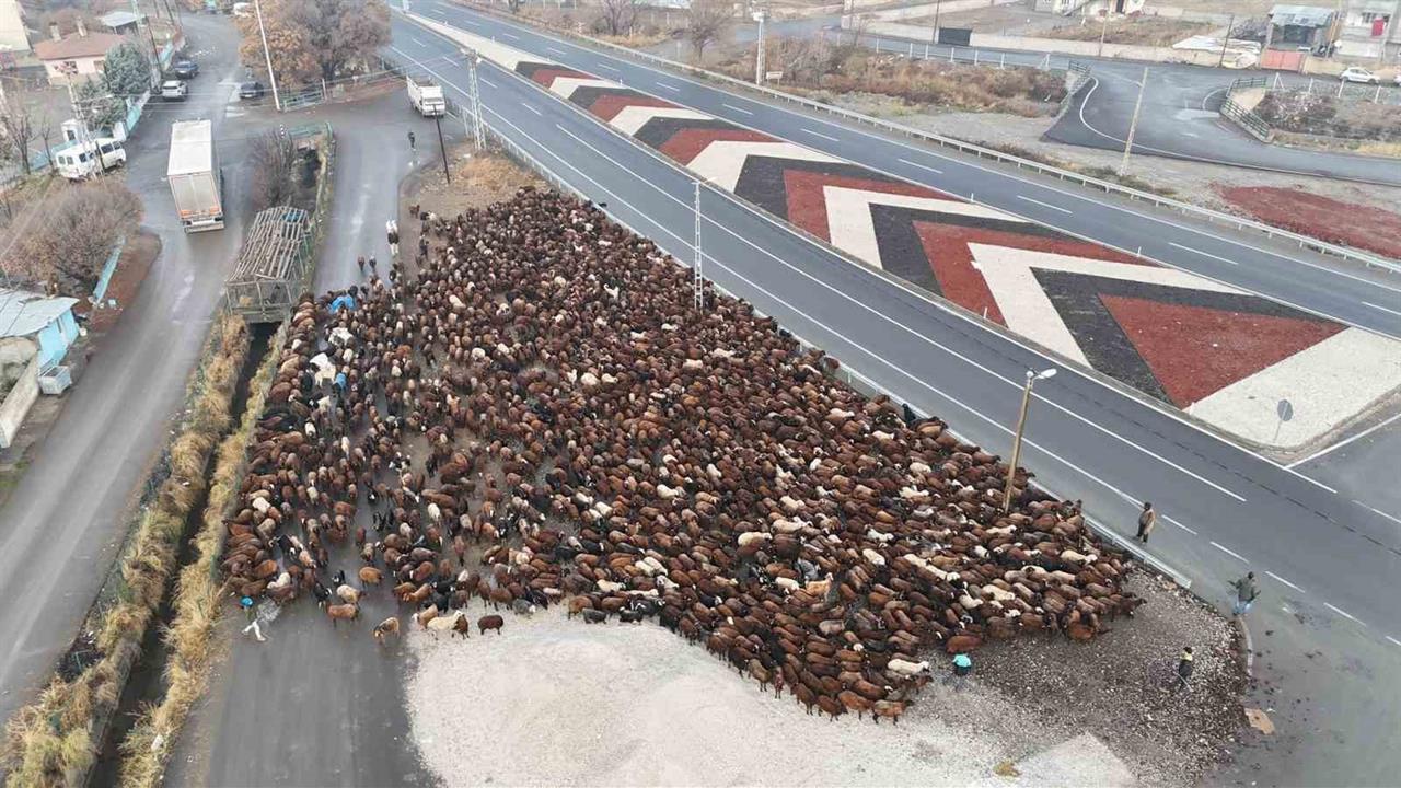 Iğdır'da Göçerler Yaz Döneminin Ardından Eve Dönüyor