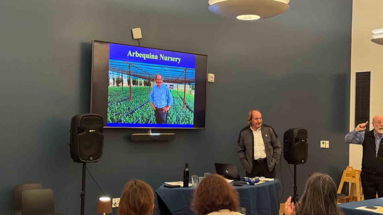 Manisa Köprübaşı'nda Zeytinyağı Tadım Panelinde 40 Kişi Katıldı