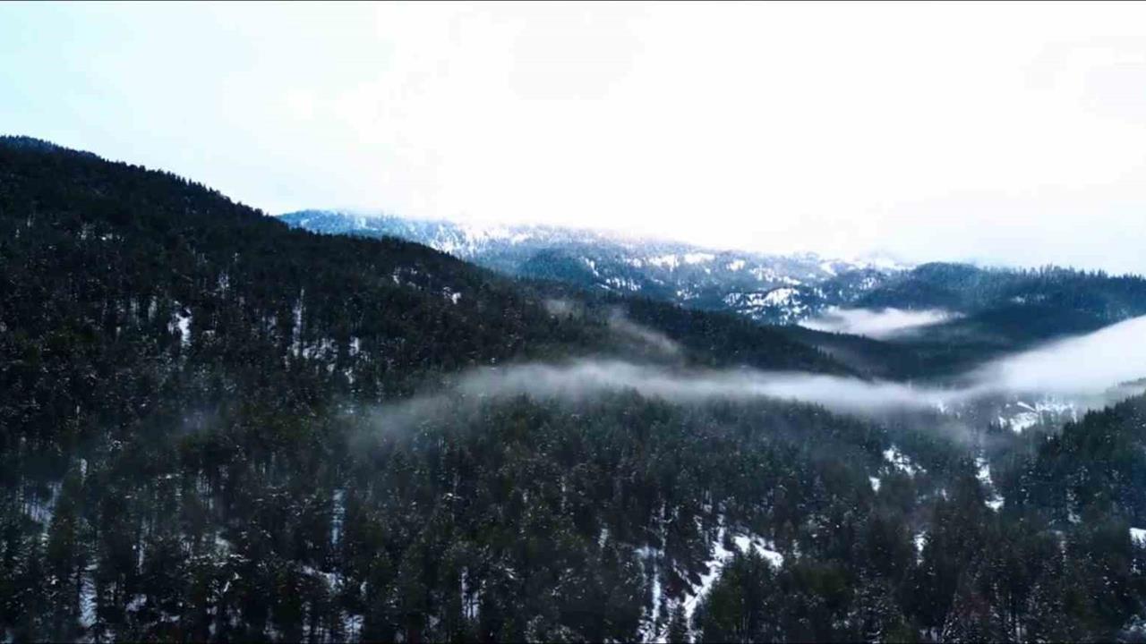 Çankırı-Kastamonu Sınırındaki Ilgaz Dağı Karla Kaplandı