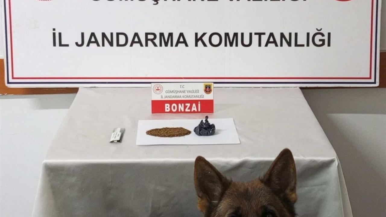 Gümüşhane Merkez'de Jandarma Ekiplerinin Düzenlediği Operasyonda 2 Şüpheli Yakalandı