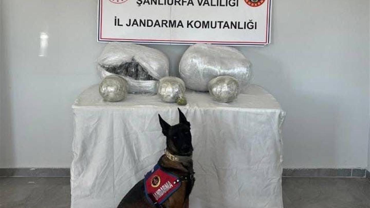 Şanlıurfa Hilvan'da Jandarma, 25 Kilogram Uyuşturucu Madde Ele Geçirdi