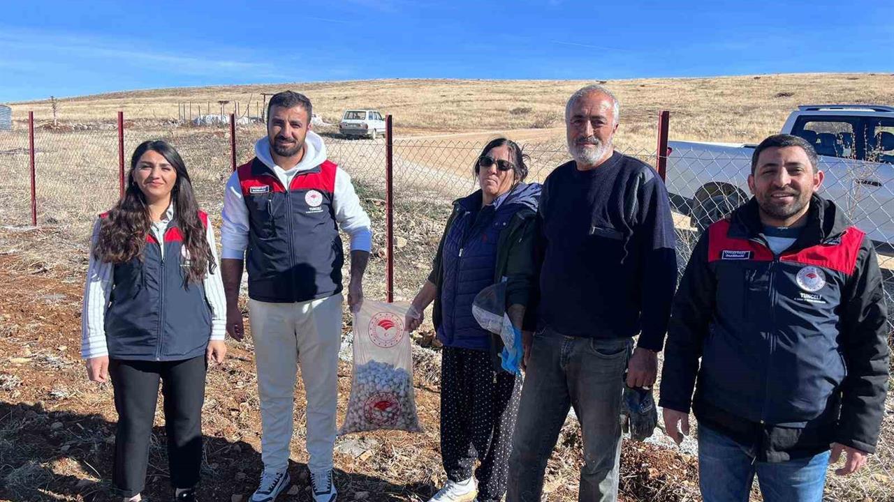 Tunceli Hozat, Ovacık, Pülümür ve Nazımiye'de Sarımsak Ekim Çalışmaları Yapıldı