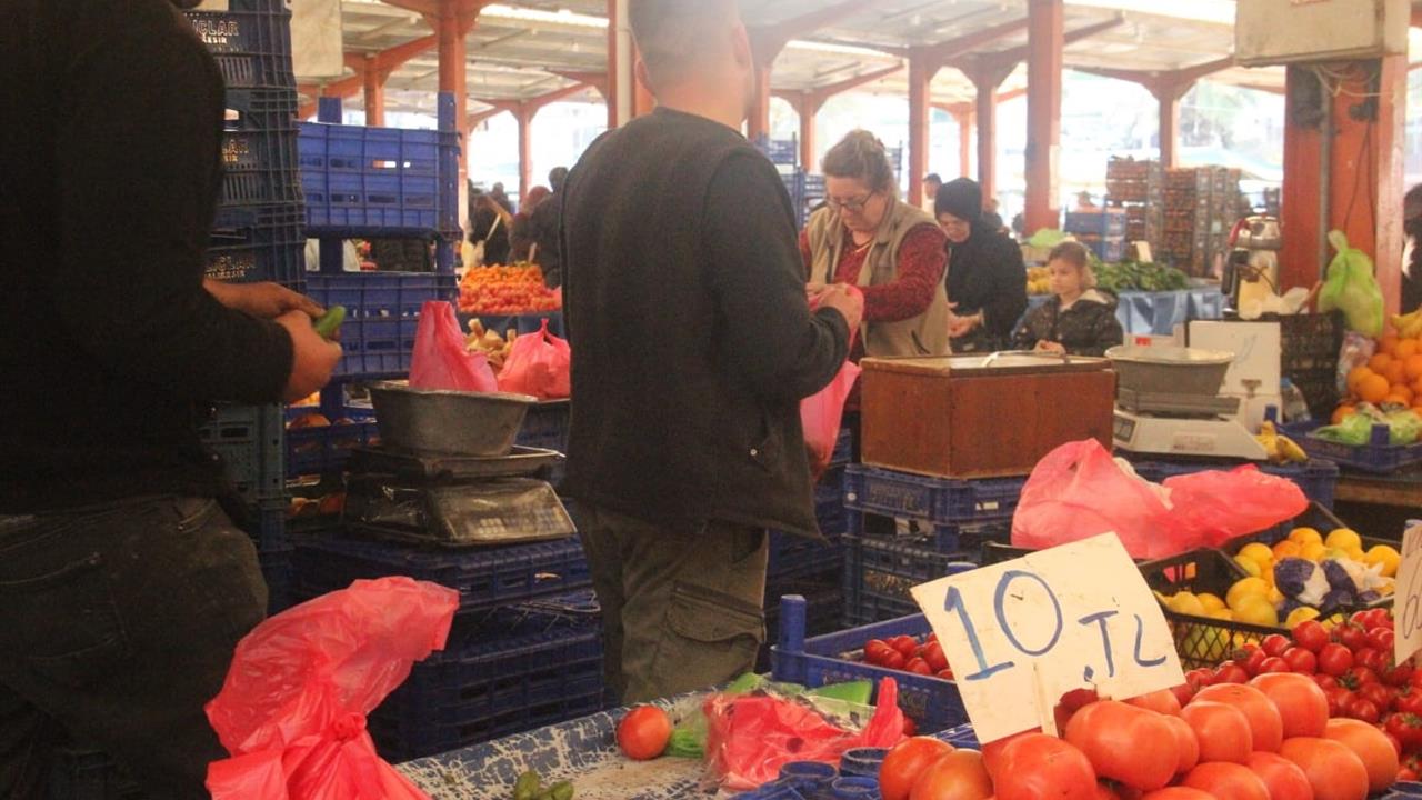 Çanakkale Bayramiç'te Domates Fiyatları Son Hasatta 10 TL'ye Geriledi