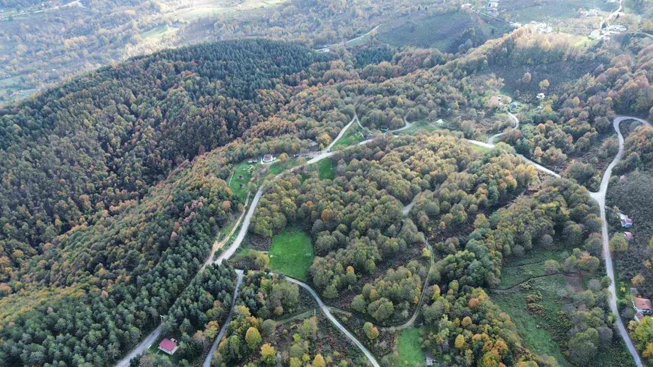 Düzce'deki Ormanlık Alanlarda Sonbahar Renk Cümbüşü Görücüye Çıktı