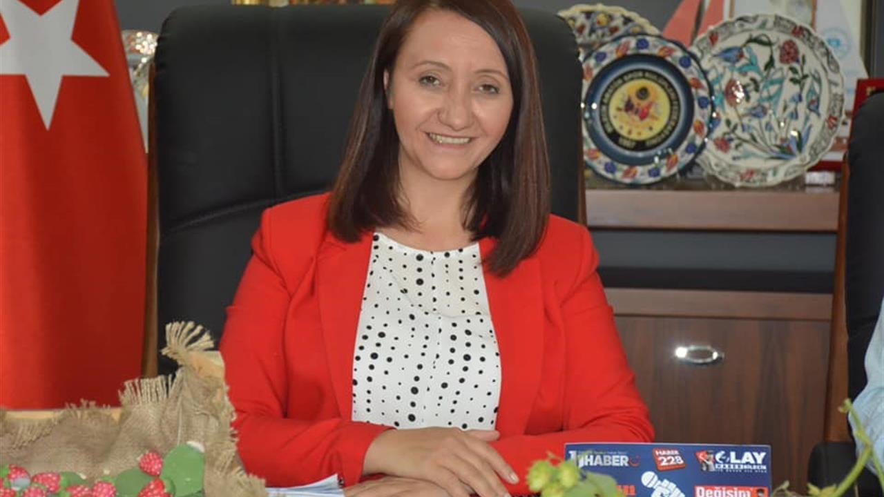 Bilecik Pazaryeri'nde TOKİ Projesi Kapsamında Anahtar Teslimleri Gerçekleşiyor