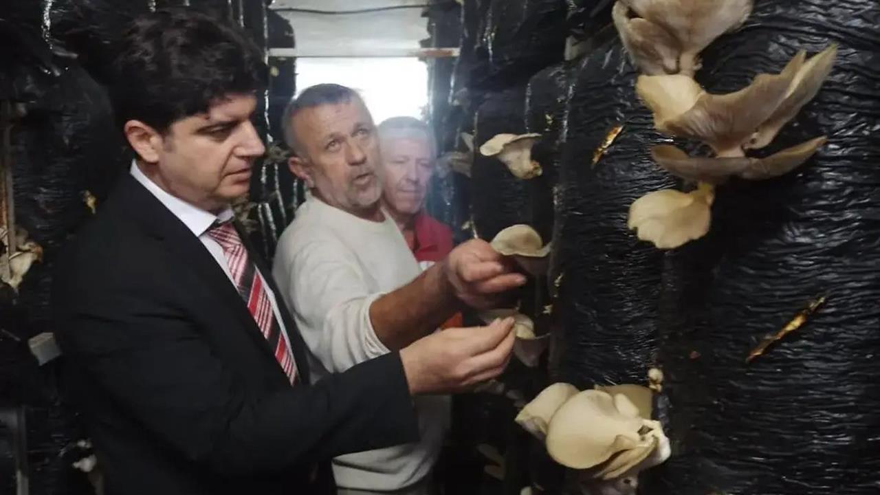 Sinop Merkez'de Mantar Yetiştiriciliği Eğitimi Başladı