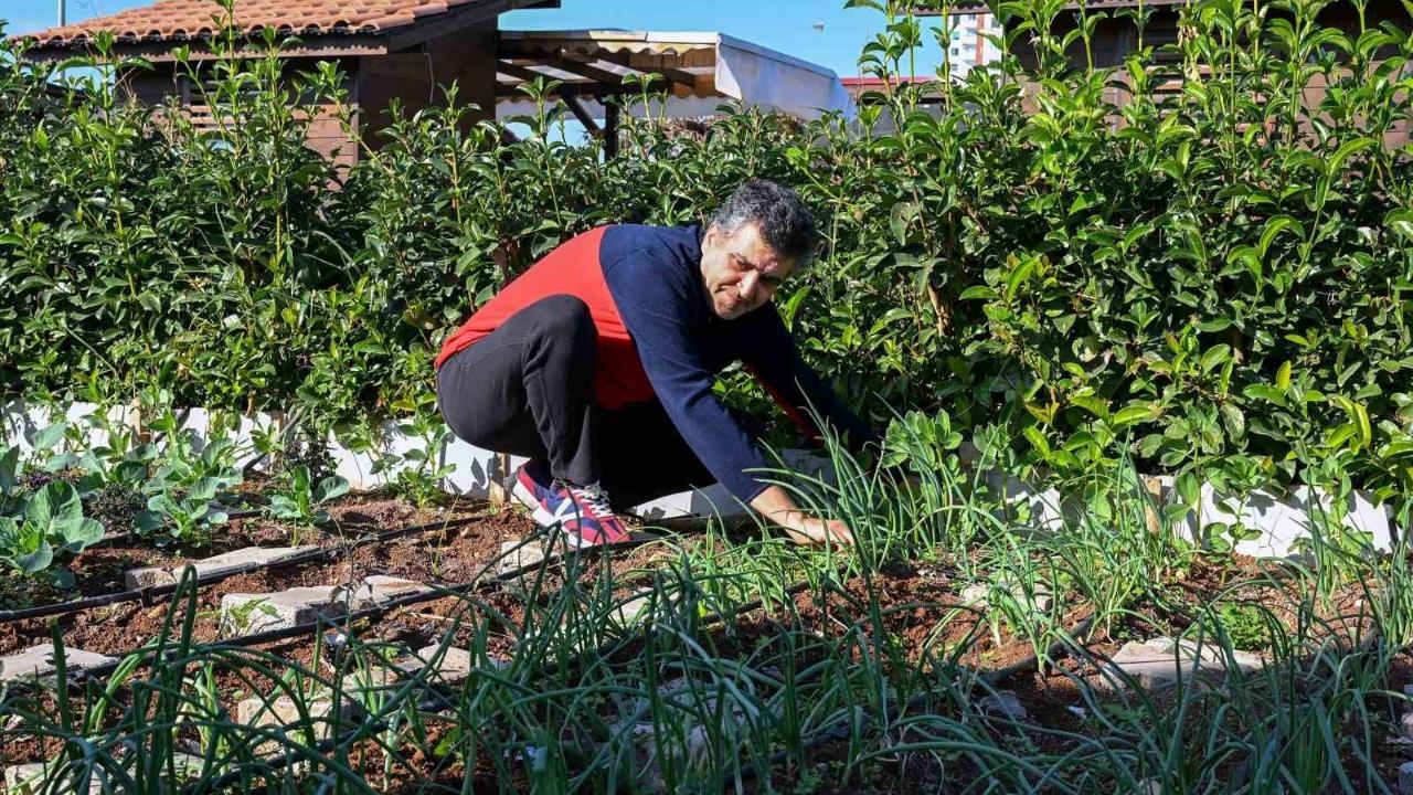 Mersin Büyükşehir’in Hobi Parkı Kışa Hazır: Lahana, Marul, Brokoli Toprakla Buluştu!