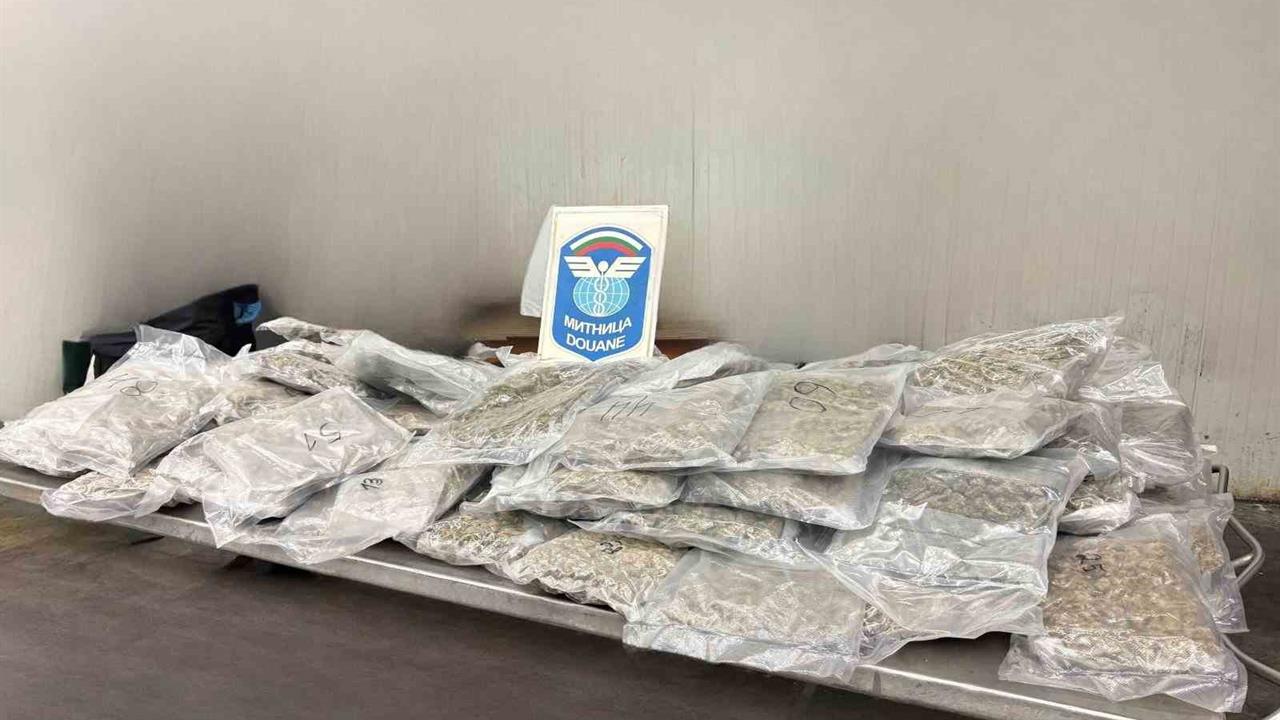 Edirne Kapıkule Sınır Kapısı'nda 22 Kilo 560 Gram Esrar Ele Geçirildi