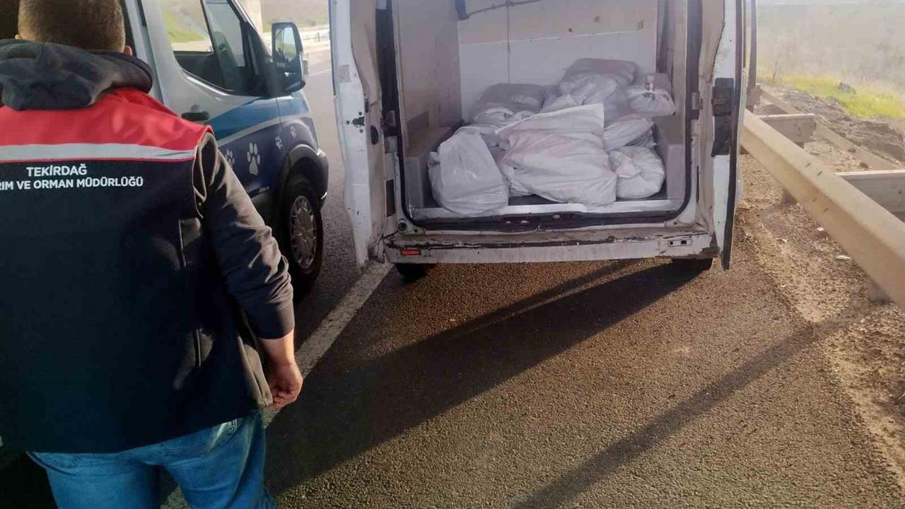 Tekirdağ Muratlı'da Yol Kontrolünde Menşei Belirsiz 400 Kilogram Kokoreç Bulundu