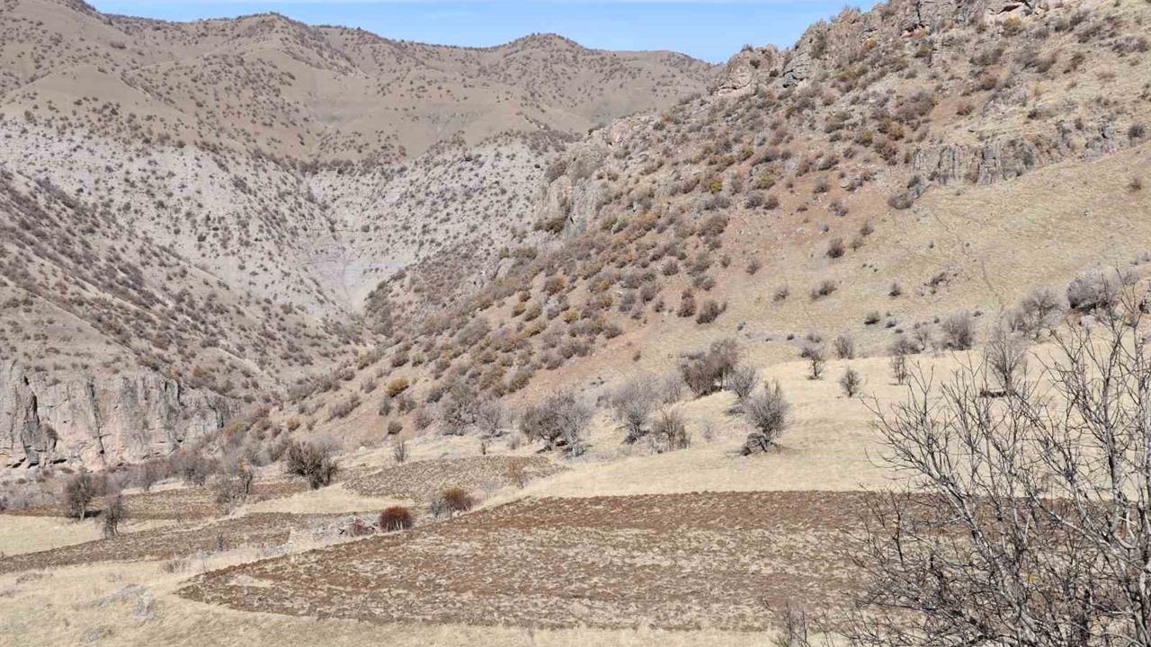 Şırnak Bestler Dereler Bölgesine 30 Yıl Sonra İlk Kez Yol Açıldı